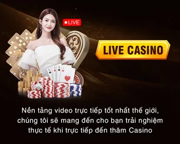 Tin tức & Cập nhật