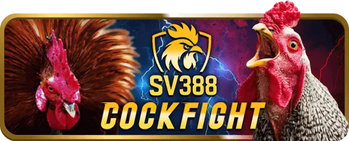 Người chơi ăn mừng chiến thắng Jackpot tại nh88 bet